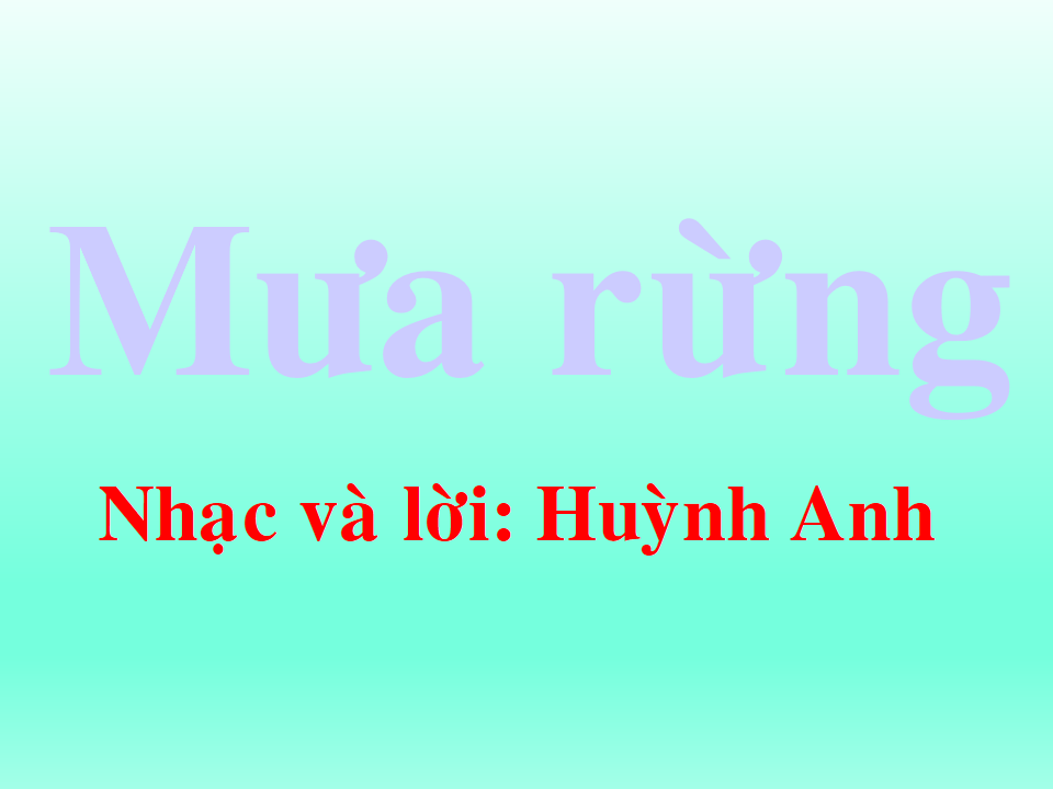 Mưa Rừng