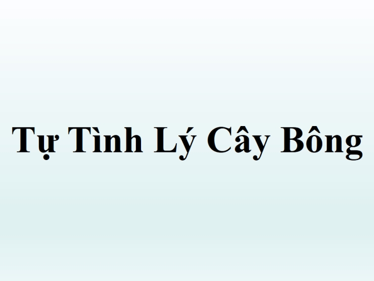 Tự Tình Lý Cây Bông