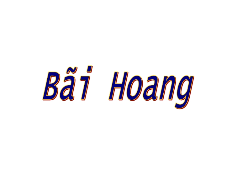 Bãi Hoang