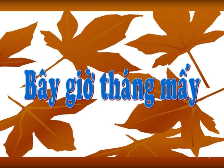 Bây Giờ Tháng Mấy