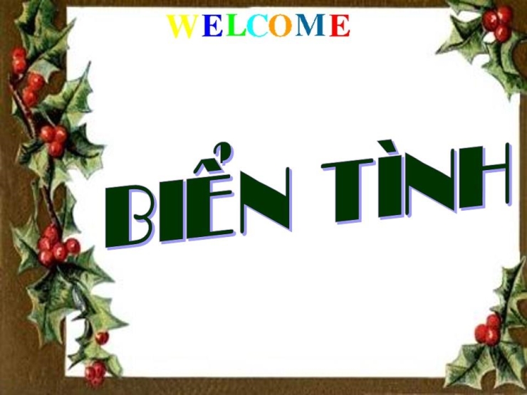 Biển Tình