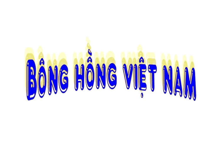 Bóng Hồng Việt Nam