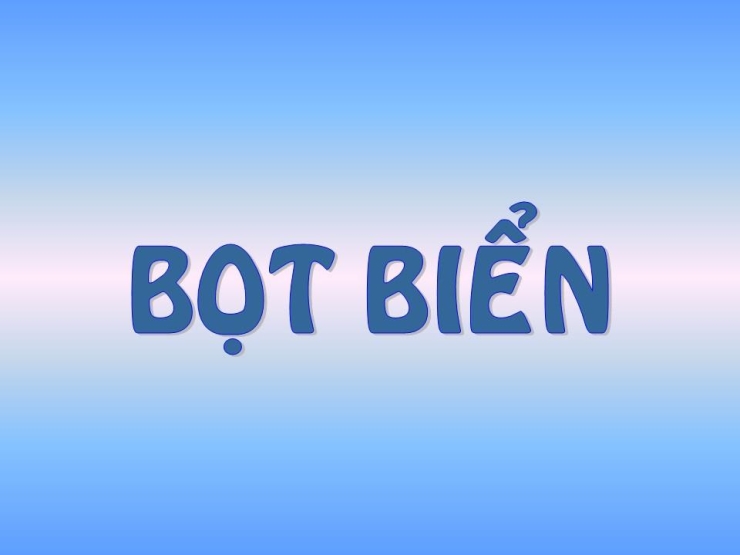 Bọt Biển
