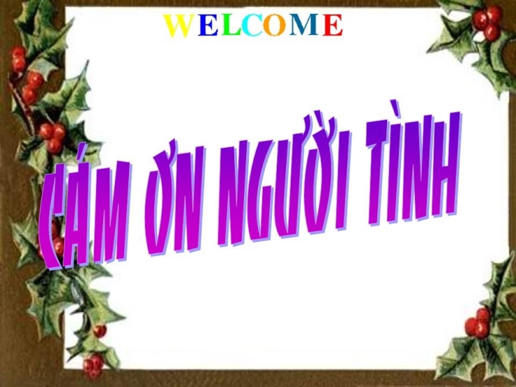 Cám Ơn Người Tình