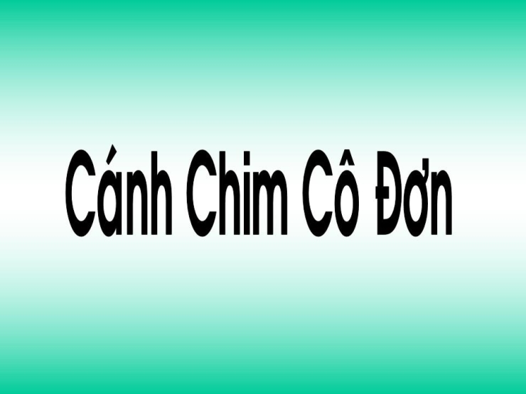 Cánh Chim Cô Đơn