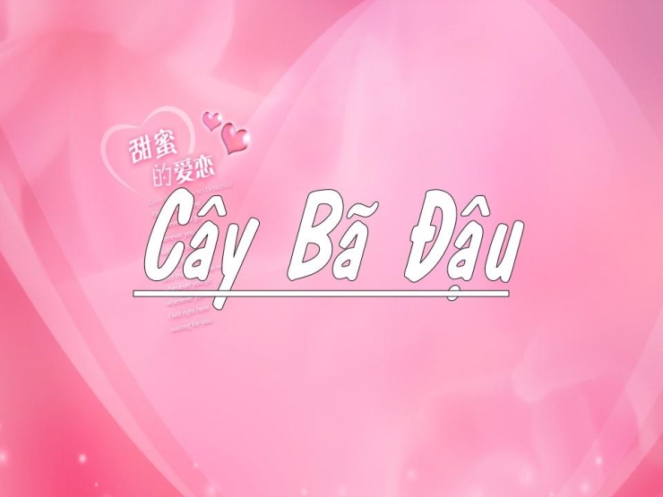 Cây Bã Đậu