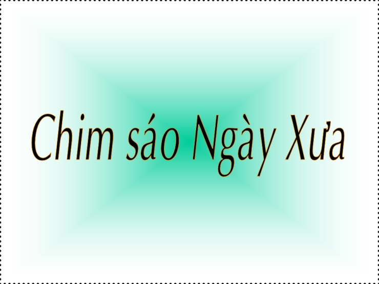 Chim Sáo Ngày Xưa