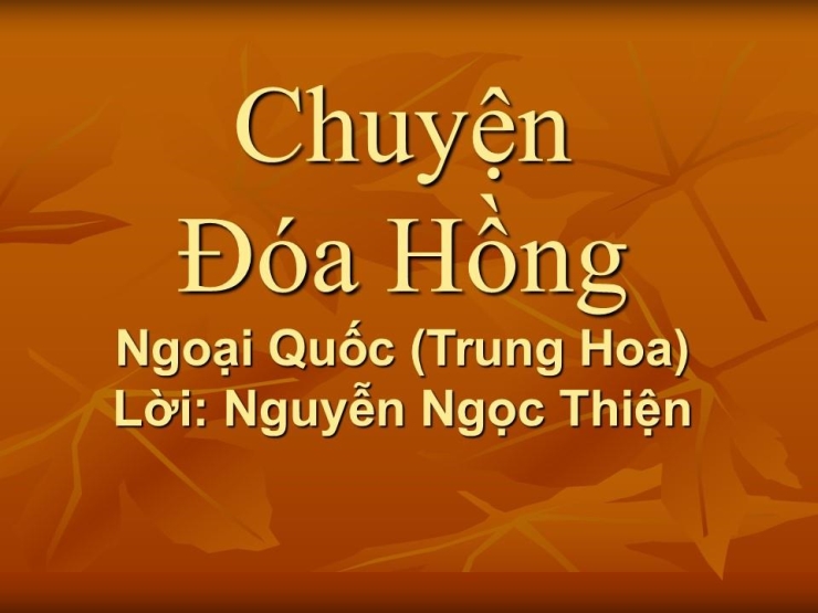 Chuyện Đóa Hồng