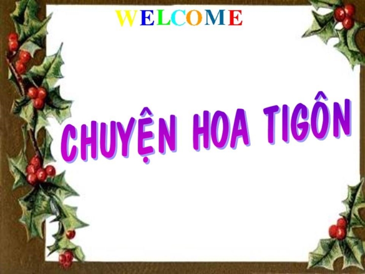 Chuyện Hoa Tigôn