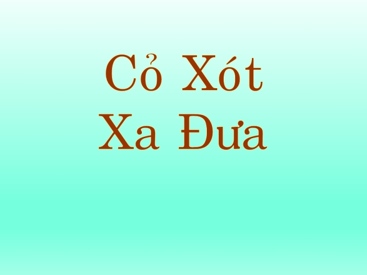 Cỏ Xót Xa Đưa