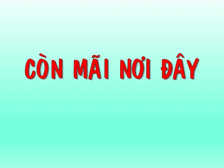 Còn Mãi Nơi Đây