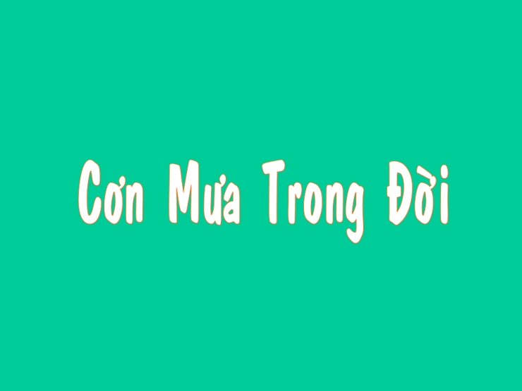 Cơn Mưa Trong Đời