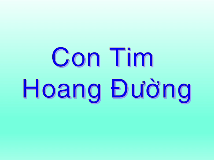 Trái Tim Hoang Tưởng