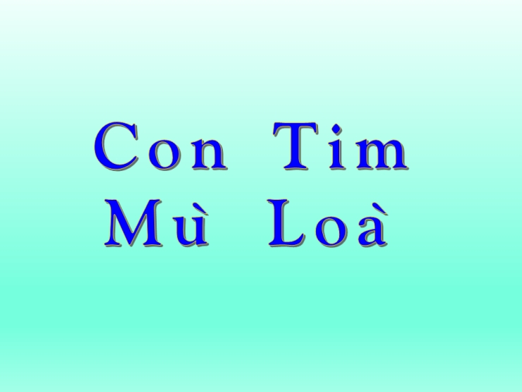 Con Tim Mù Lòa