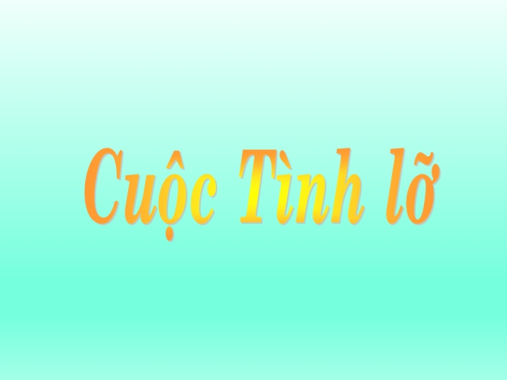 Cuộc Tình Lỡ
