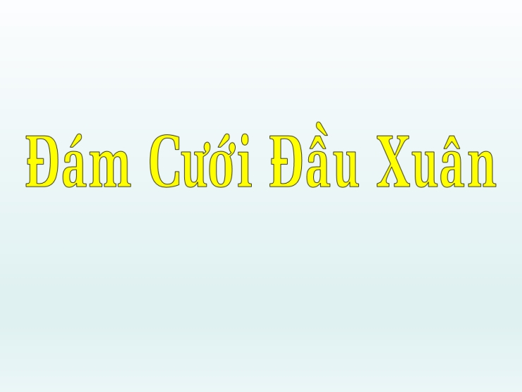 Đám Cưới Đầu Xuân