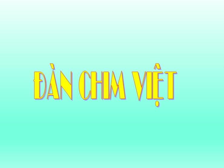 Đàn Chim Việt