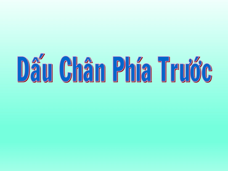 Dấu Chân Phía Trước