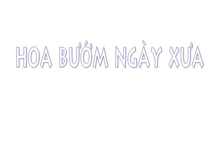 Hoa Bướm Ngày Xưa