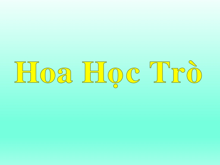 Hoa Học Trò (Bây Giờ Còn Nhớ Hay Không.)
