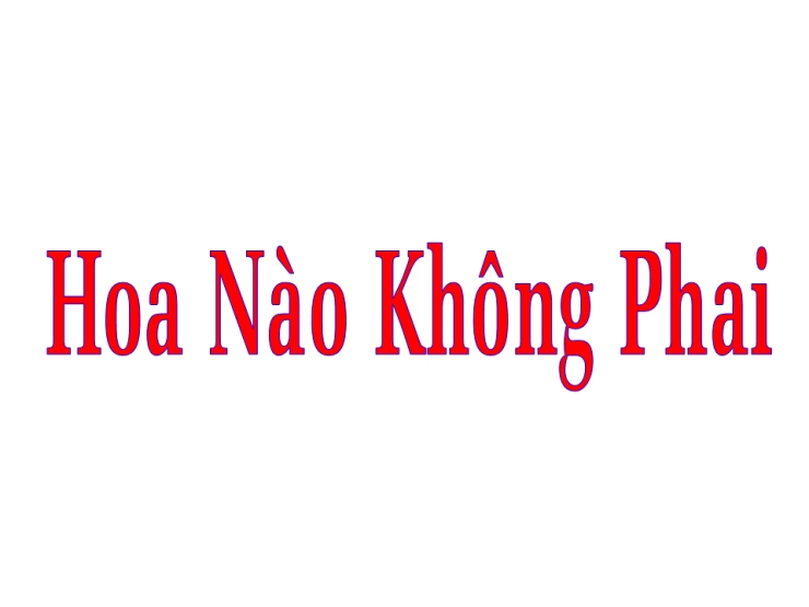 Hoa Nào Không Phai