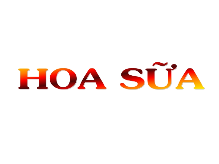 Hoa Sữa