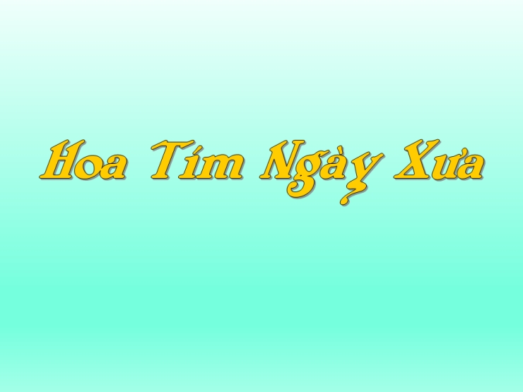 Hoa Tím Người Xưa