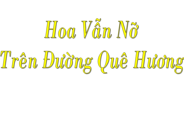 Hoa Vẫn Nở Trên Đường Quê Hương