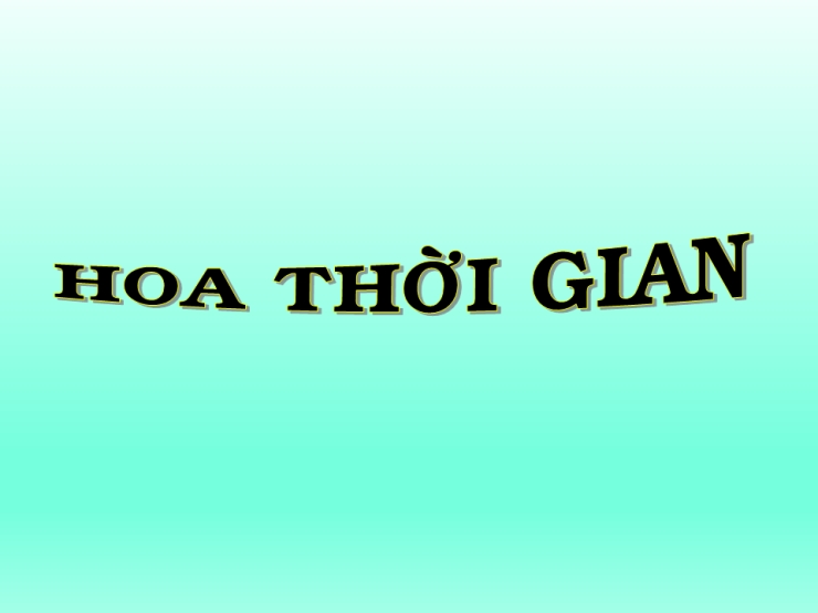 Hoa Thời Gian