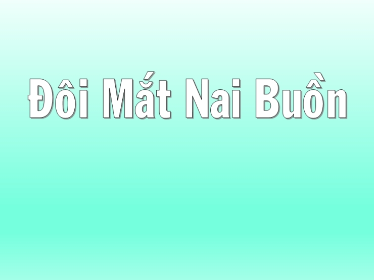 Đôi Mắt Nai Buồn