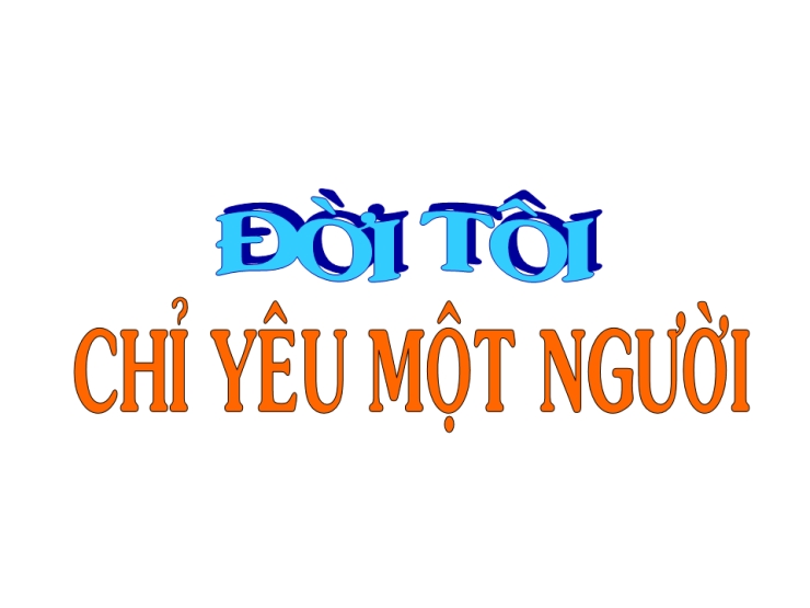 Đời Tôi Chỉ Một Người