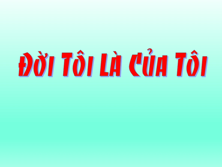 Đời Tôi Là Của Tôi