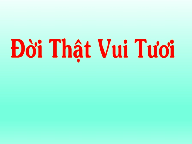 Đời Thật Vui Tươi