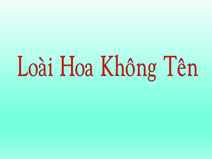 Loài Hoa Không Tên