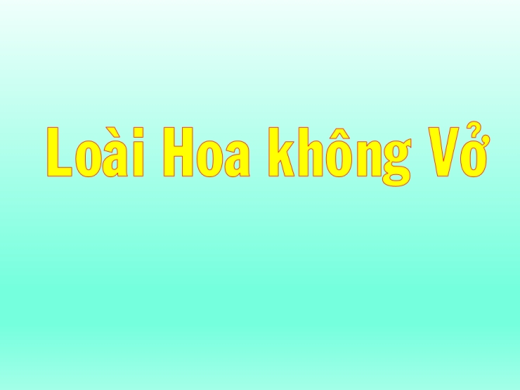 Loài Hoa Không Vỡ