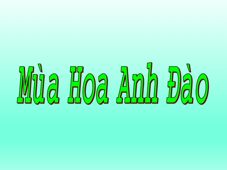 Mùa Hoa Anh Đào