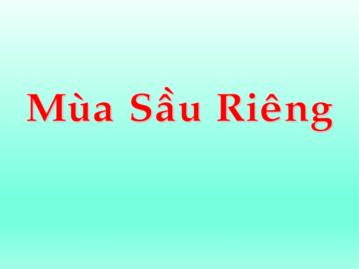 Mùa Sầu Riêng