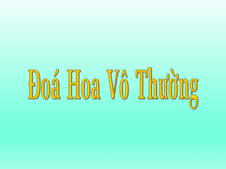 Đóa Hoa Vô Thường