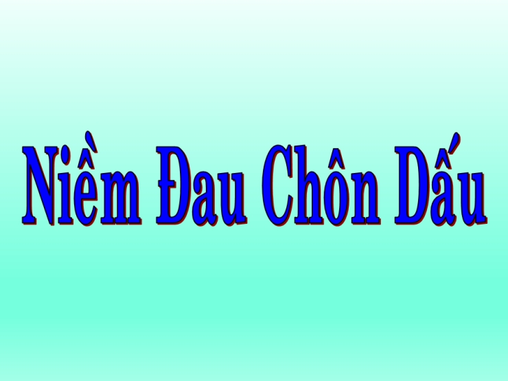 Niềm Đau Chôn Dấu