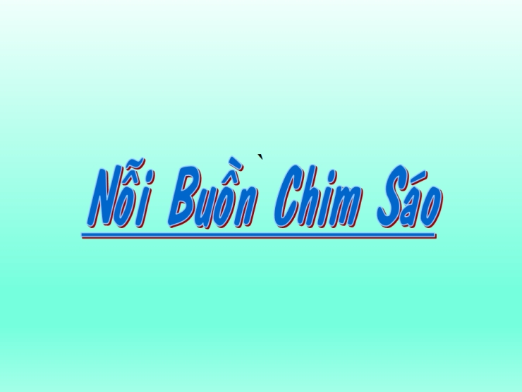 Nỗi Buồn Chim Sáo