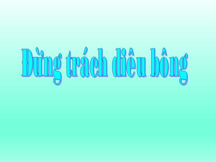 Đừng Trách Diêu Bông