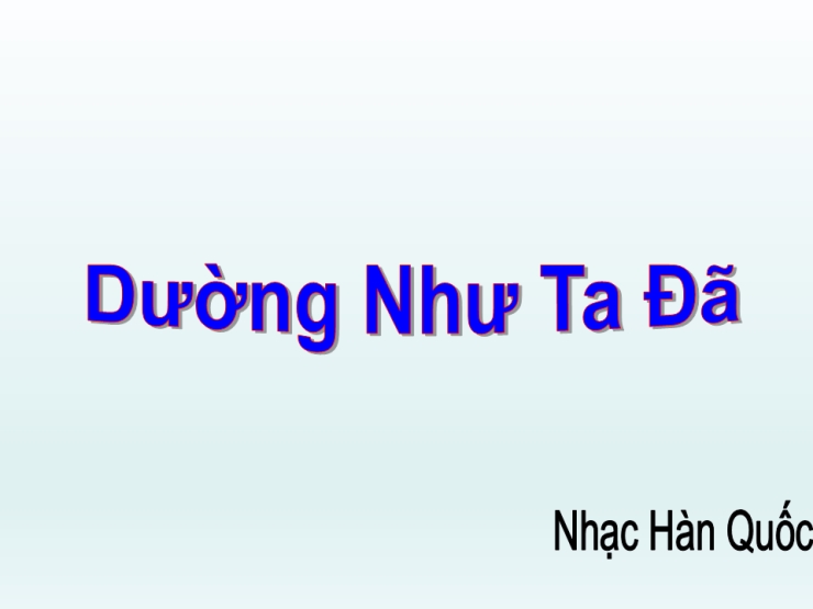 Dường Như Ta Đã