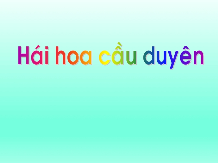 Hái Hoa Cầu Duyên