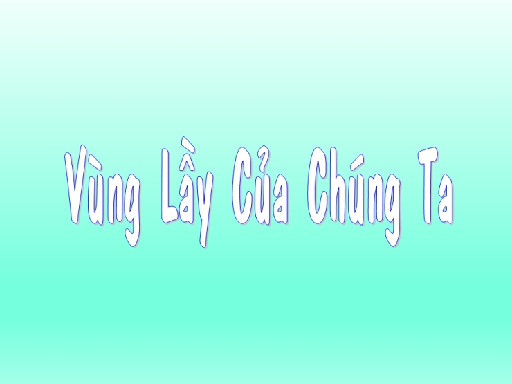 Vũng Lầy Của Chúng Ta