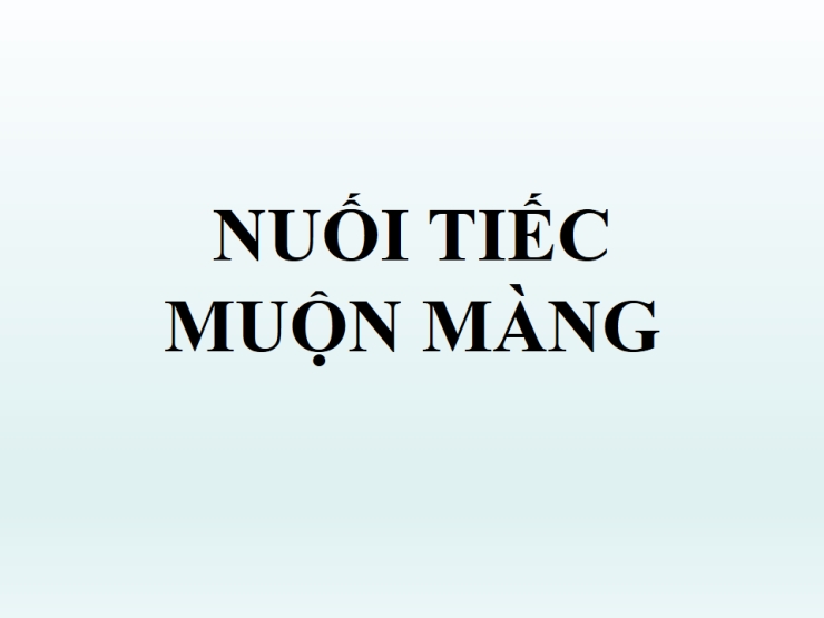 Nuối Tiếc Muộn Màng