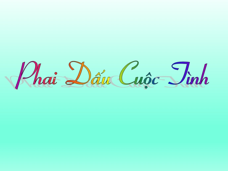 Phai Dấu Cuộc Tình