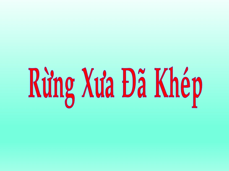 Rừng Xưa Đã Khép