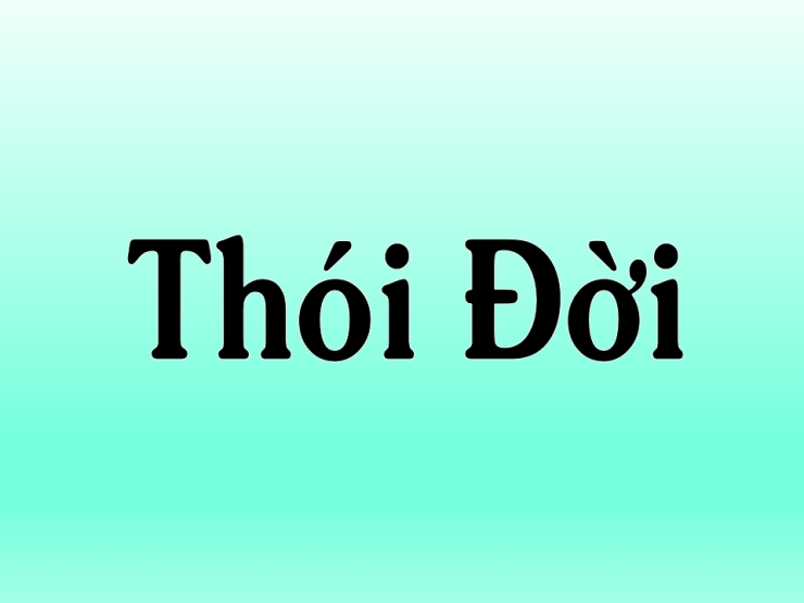 Thói Đời