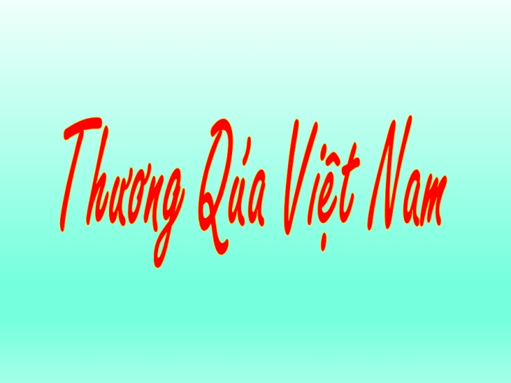Thương Quá Việt Nam