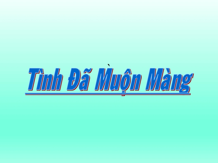 Tình Đã Muộn Màng